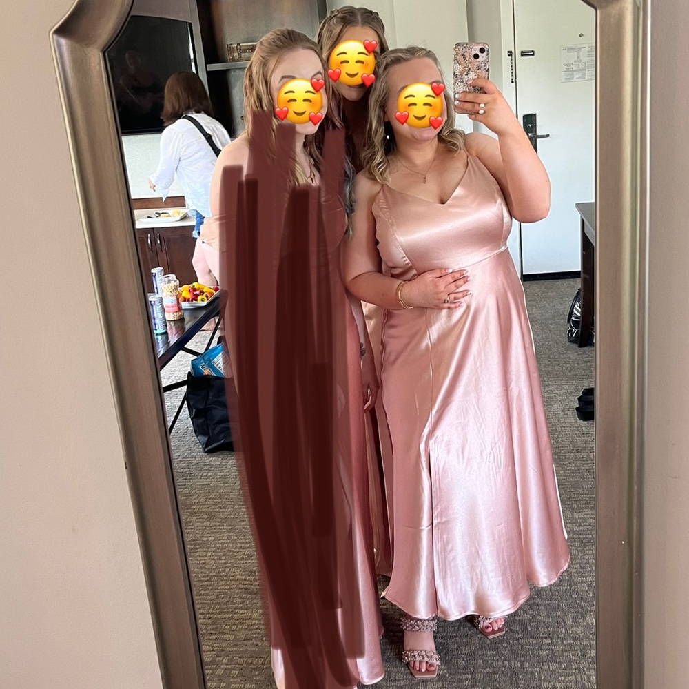 Birdy Grey Jay Satin Dress Rose Gold SIZE XL HEMMED